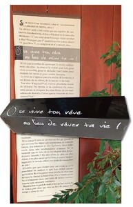 Picture of Kakemono “Ose vivre ton rêve au lieu de rêver ta vie”