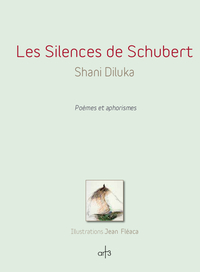 Image de Les Silences de Schubert