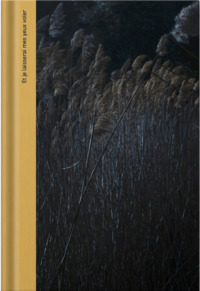 Picture of ET JE LAISSERAI MES YEUX VOLER