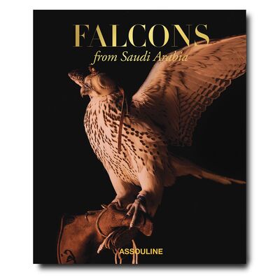 Image de Falcons from Saudi Arabia