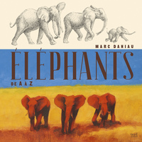 Image de Éléphants