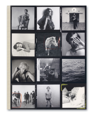 Image de Hujar Contact