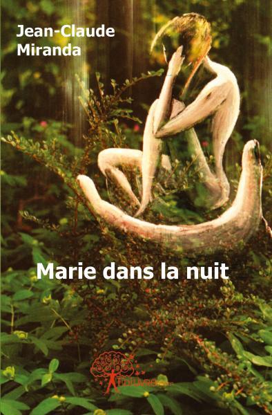 Image de Marie dans la nuit