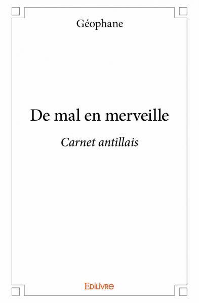 Picture of Vingt huit mois d\'amour,