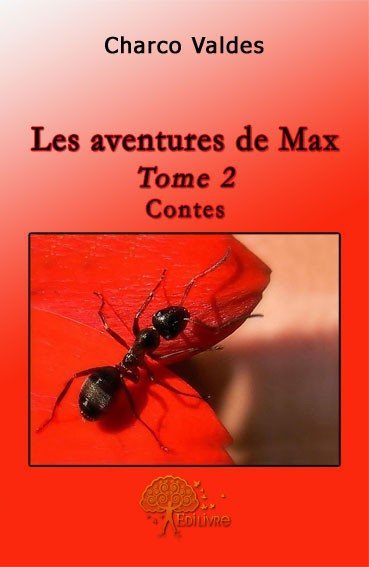 Picture of Les aventures de max
