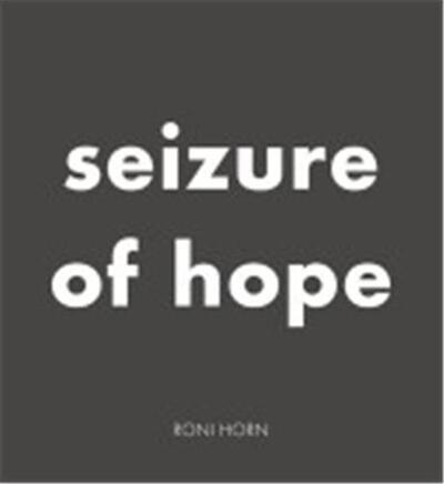 Image de Roni Horn Seizure of Hope /anglais