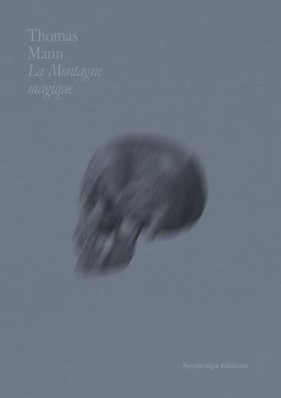 Image de La Montagne magique (Tome I)