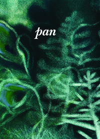 Image de Pan 7