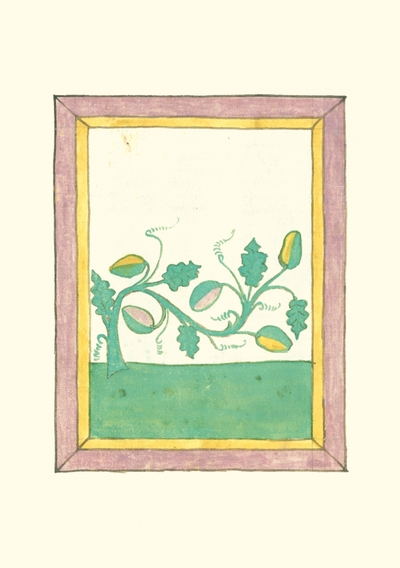 Image de Carnet - Livre des herbes