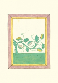 Picture of Carnet - Livre des herbes