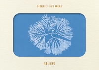 Image de Livre d’images - Herbier des mers