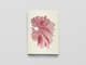 Image de Carnet - Algues japonaises - Notes et Lectures