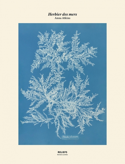 Image de Tirage - Herbier des mers