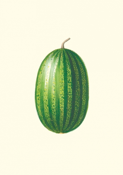 Image de Carnet - Jardin potager et jardin fruitier