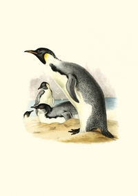 Image de Carnet - Erebus et Terror en Antarctique