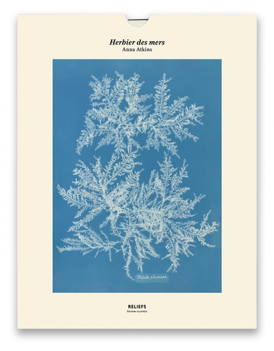 Picture of Tirage - Herbier des mers - Édition illustrée