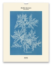 Picture of Tirage - Herbier des mers - Édition illustrée