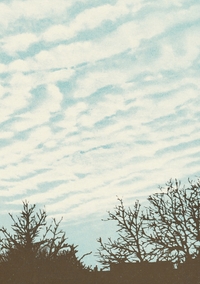 Picture of Carnet - Atlas des nuages