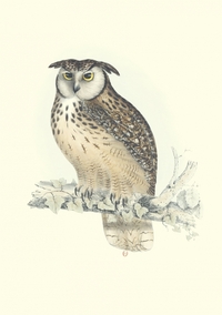 Image de Carnet - Oiseaux de l’Himalaya