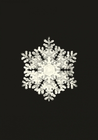 Picture of Carnet - Flocons de neige