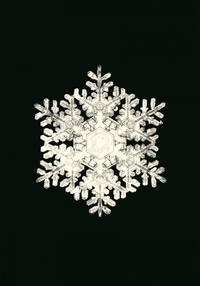 Image de Carnet - Flocons de neige