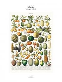 Picture of Tirage - Fruits