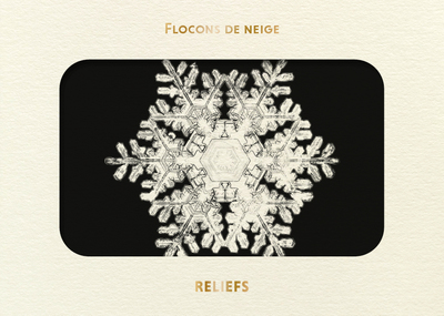 Picture of Livre d'images - Flocons de neige