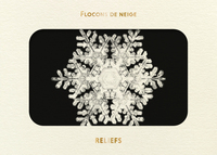 Picture of Livre d'images - Flocons de neige