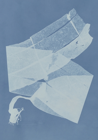 Picture of Carnet – Herbier des mers