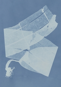 Picture of Carnet – Herbier des mers