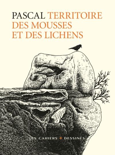 Image de TERRITOIRE DES MOUSSES ET DES LICHENS