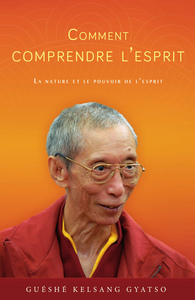 Picture of Comment Comprendre L'Esprit