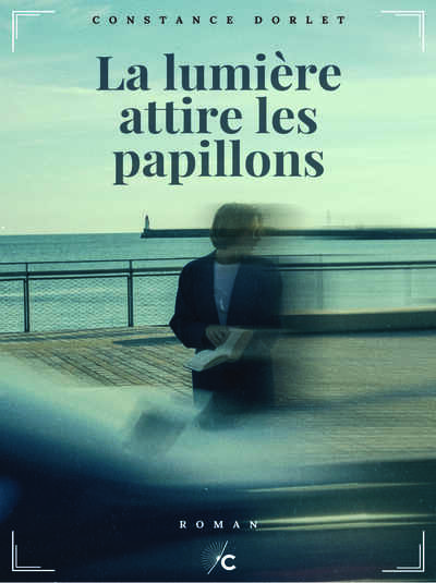 Image de La lumière attire les papillons