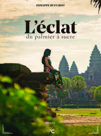 Image de L'éclat du palmier à sucre
