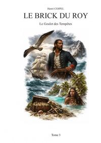 Image de Le Brick du Roy- Le Goulet des Tempête