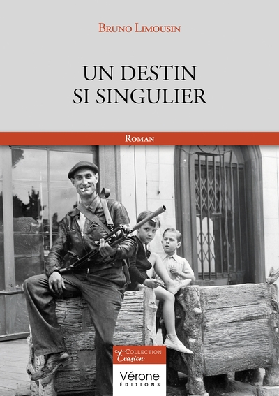 Picture of Un destin si singulier