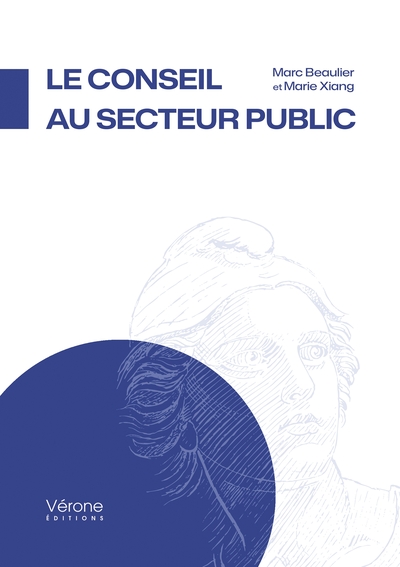 Image de Le conseil au secteur public