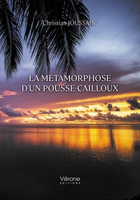 Image de La métamorphose d'un pousse-cailloux