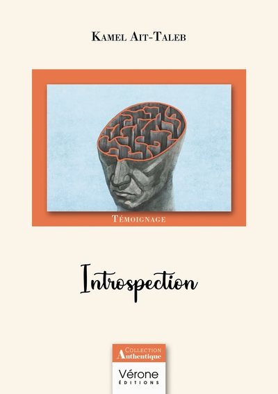 Image de Introspection