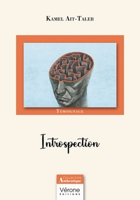 Image de Introspection