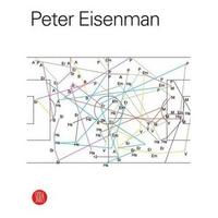 Image de Peter Eisenman Feints /anglais