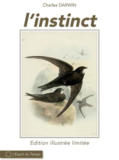 Picture of L'instinct