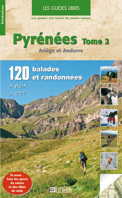 Image de Pyrénées T.2