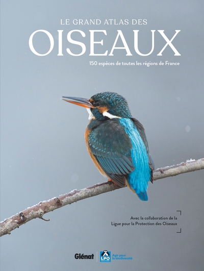 Picture of Le Grand Atlas des oiseaux 2e édition