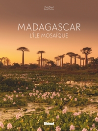 Picture of Madagascar