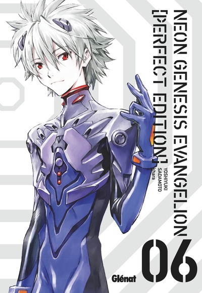 Image de Neon Genesis Evangelion Perfect Edition - Tome 06
