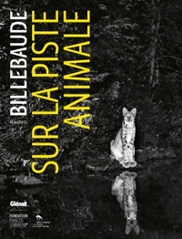 Image de Billebaude - N°10