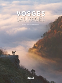 Picture of Vosges sauvages