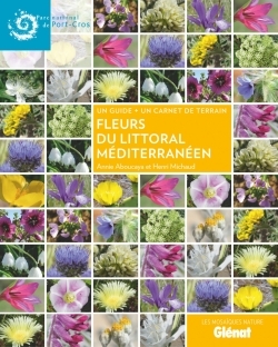 Image de Fleurs du littoral méditerranéen