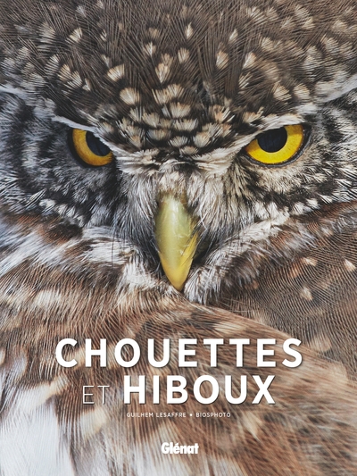 Image de Chouettes et hiboux
